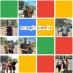 Ecoogle, Google ecológico, Plantar, Reflorestamento, Pesquisas, Ecosia