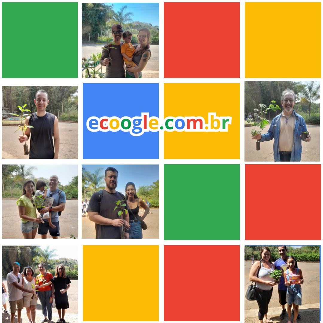 Ecoogle, Google ecológico, Plantar, Reflorestamento, Pesquisas, Ecosia