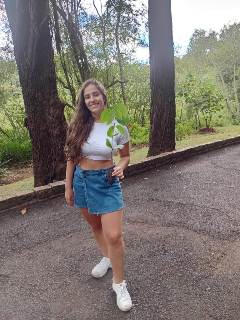 Google  ecológico, ecoogle, ecosia